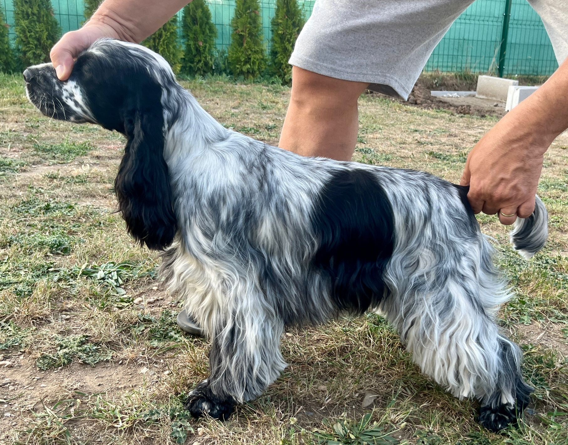 gigi-9-mesicu.jpg