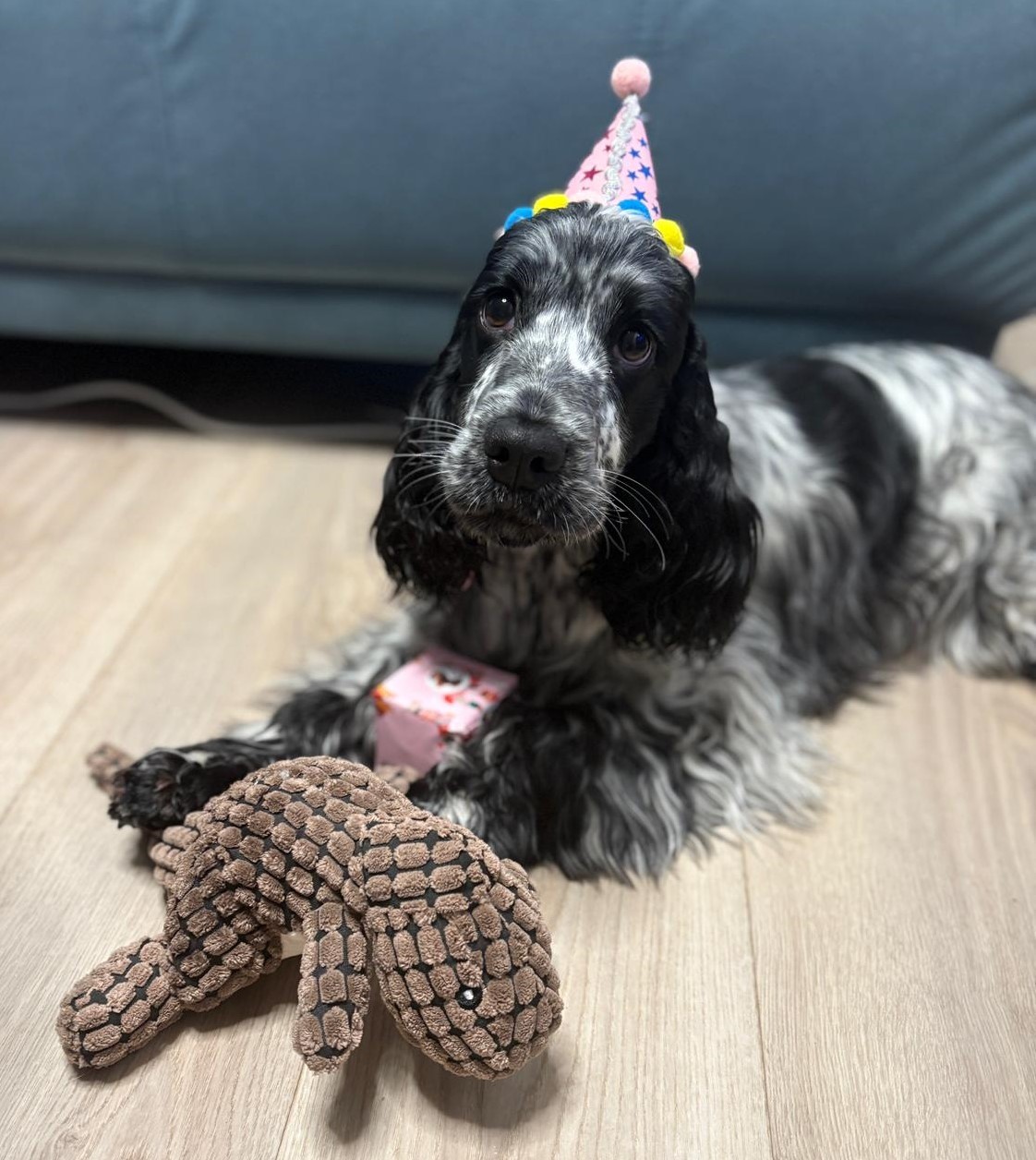 gigi-2.jpg