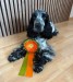 IMG-20250301-WA0018